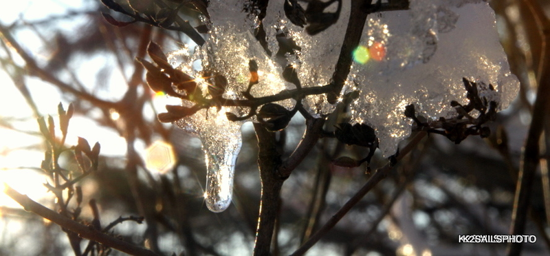 Illustration for article titled Shooting Challenge: Bokeh, Gallery 3